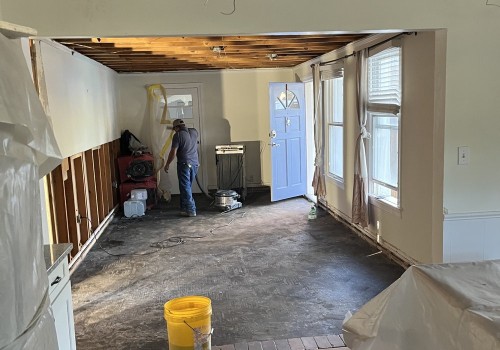 Construction Engineering Best Practices For Mold Removal In Charleston Properties